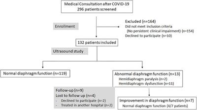 Diaphragm dysfunction after severe COVID-19: An ultrasound study